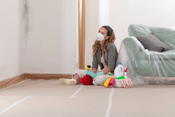 Reliable Commercial Mold Remediation contractor in Verona, PA by WQB Mold Removal